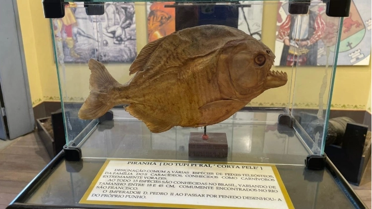 Imagem de vitrine